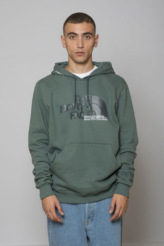 The North Face Coordinates Hoodie Balsam Green