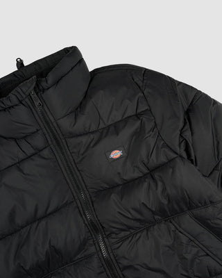 Dickies Waldenburg Jacket Black