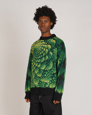 Bonsai Broccoli Sweater